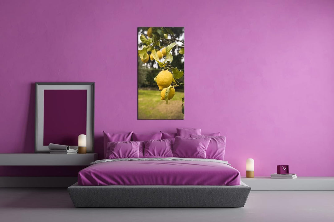 reife Zitronen am Baum Panorama 120x60 cm als Leinwandbild, Motiv fertig gerahmt auf Echtholzrahmen,