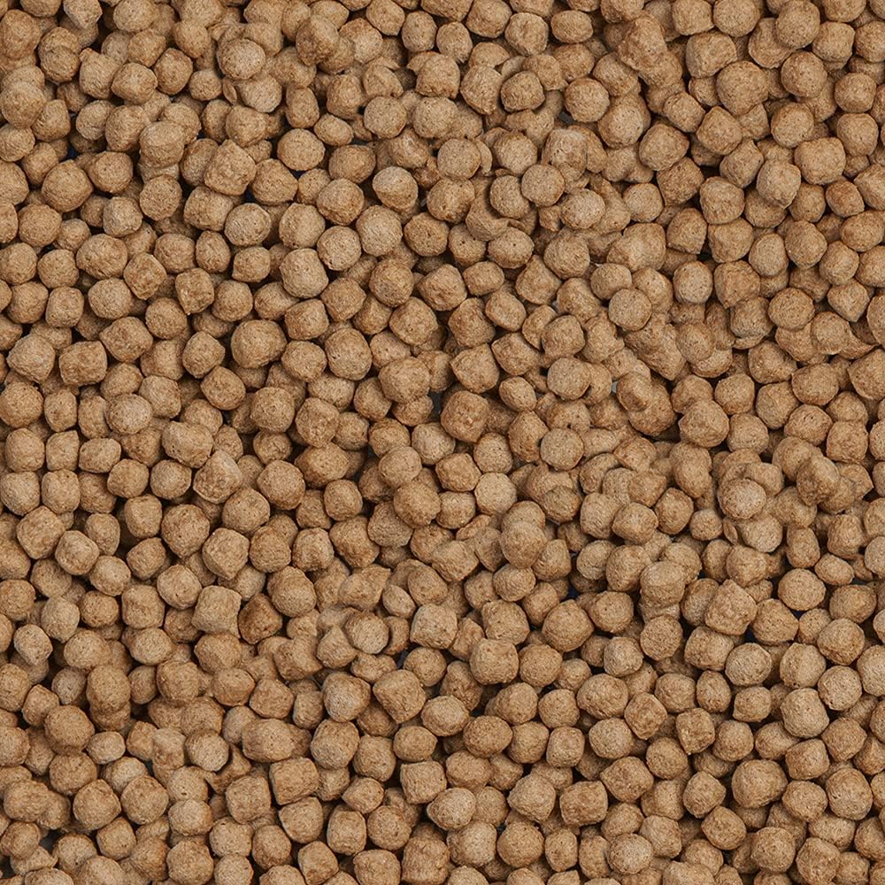 sera 07123 Koi Royal Nature Medium (4 mm) 21 Liter - Hauptfutter BZW. Koifutter für EIN ausgewogenes