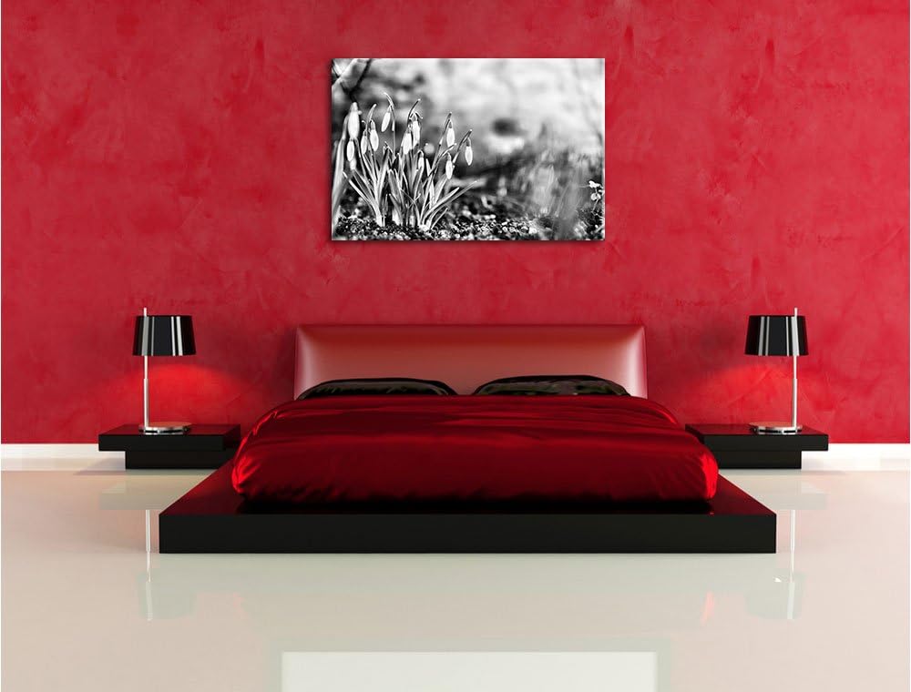 Pixxprint Schneeglöckchen am Waldrand als Leinwandbild/Grösse: 100x70 cm/Wandbild/Kunstdruck/fertig