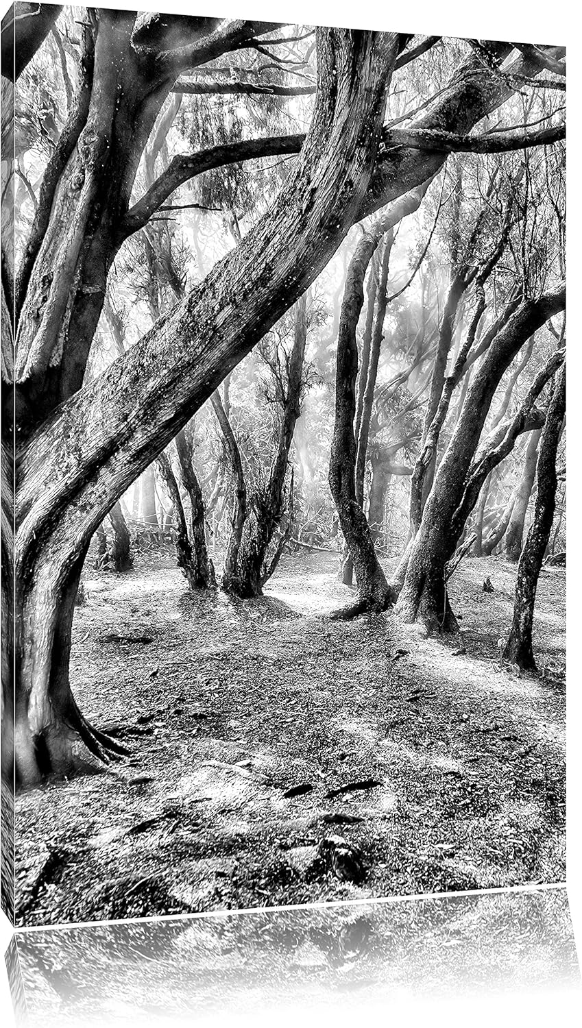 Monocrome, Wald, Format: 100x70 auf Leinwand, XXL riesige Bilder fertig gerahmt mit Keilrahmen, Kuns