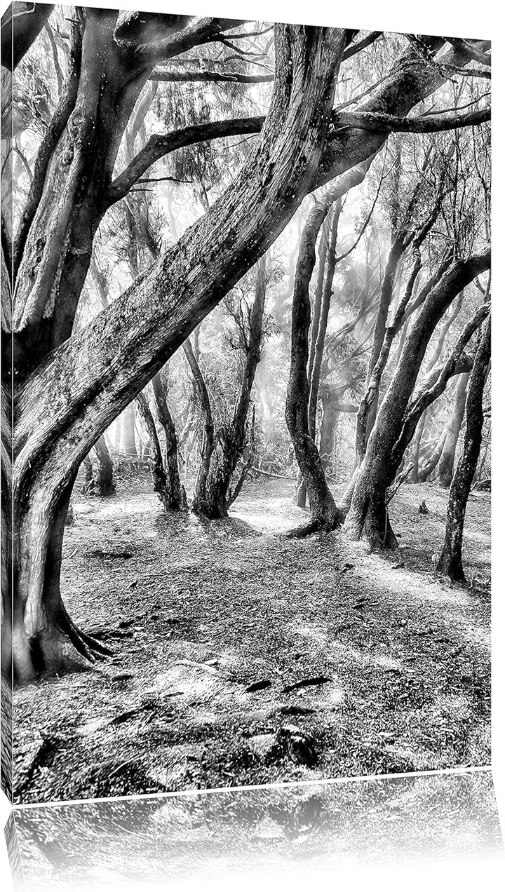 Monocrome, Wald, Format: 100x70 auf Leinwand, XXL riesige Bilder fertig gerahmt mit Keilrahmen, Kuns