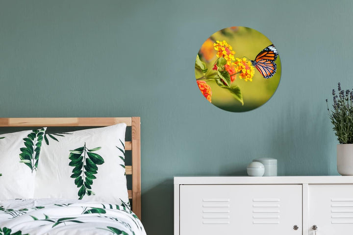 MuchoWow Wandbild Rund Wanddeko Deko Wohnzimmer Bilder 30x30 cm Schmetterling - Insekten - Blumen -