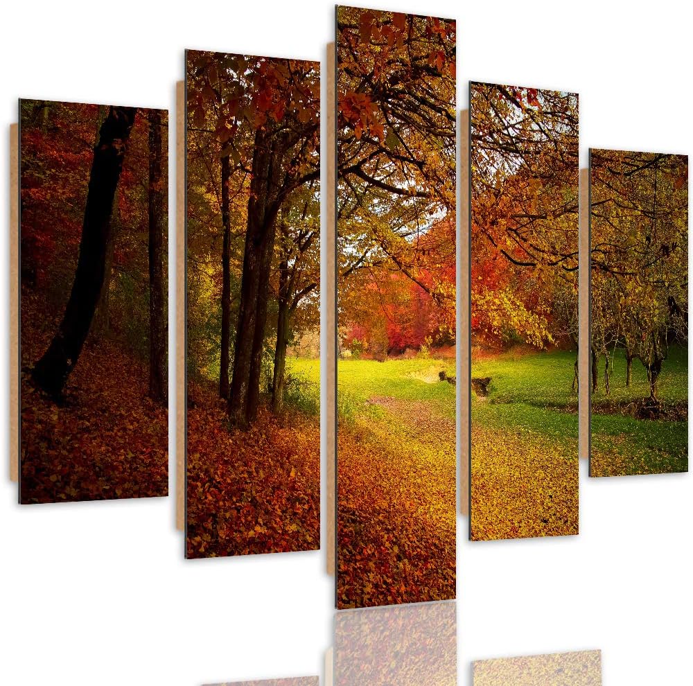 Bilder Modern Landschaft 5 Teilig Design Art Herbst Blätter Bäume orange 100x70 cm Deco panel 100x70