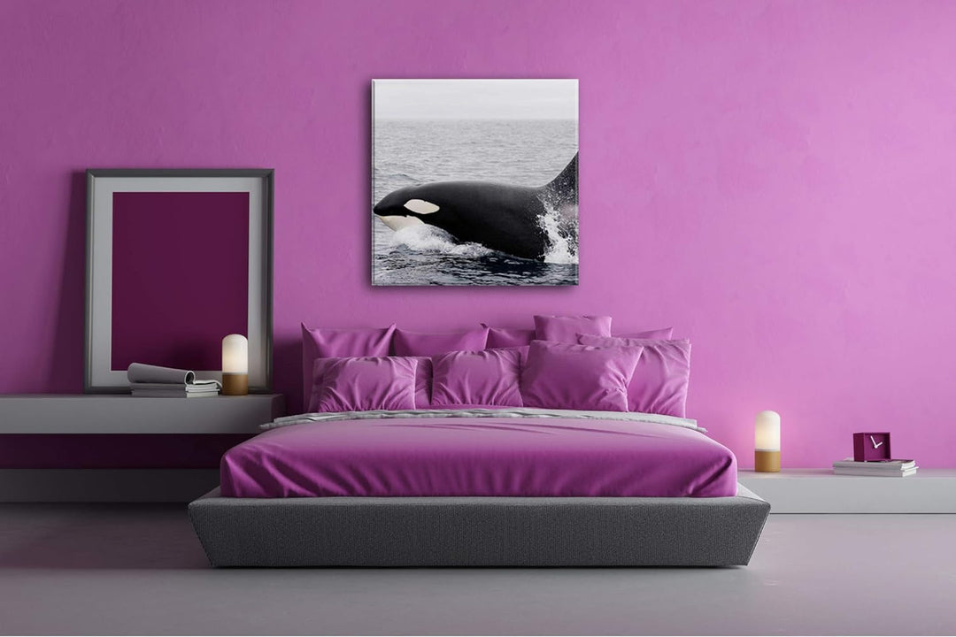 deyoli edler Orca Format: 70x70 als Leinwand, Motiv fertig gerahmt auf Echtholzrahmen, Hochwertiger