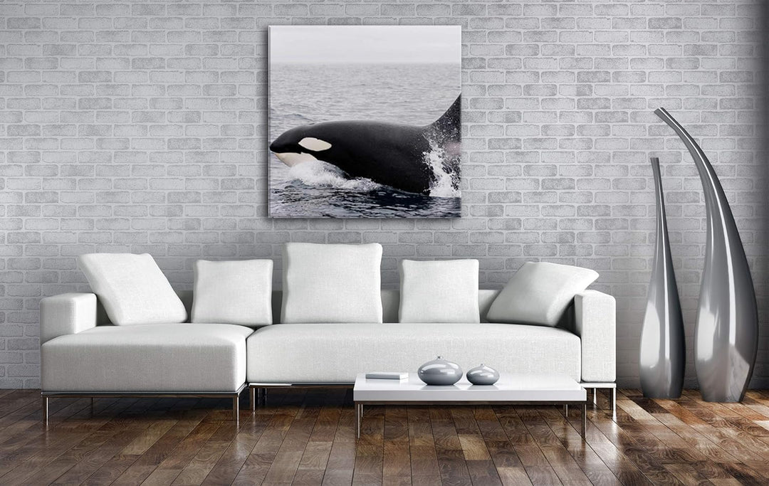 deyoli edler Orca Format: 70x70 als Leinwand, Motiv fertig gerahmt auf Echtholzrahmen, Hochwertiger