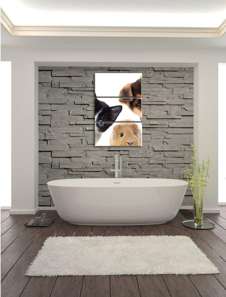 Pixxprint Trio Hund Katze Meerschwein / 3-Teilig/Gesamtmass 120cm Leinwandbild bespannt auf Holzrahm