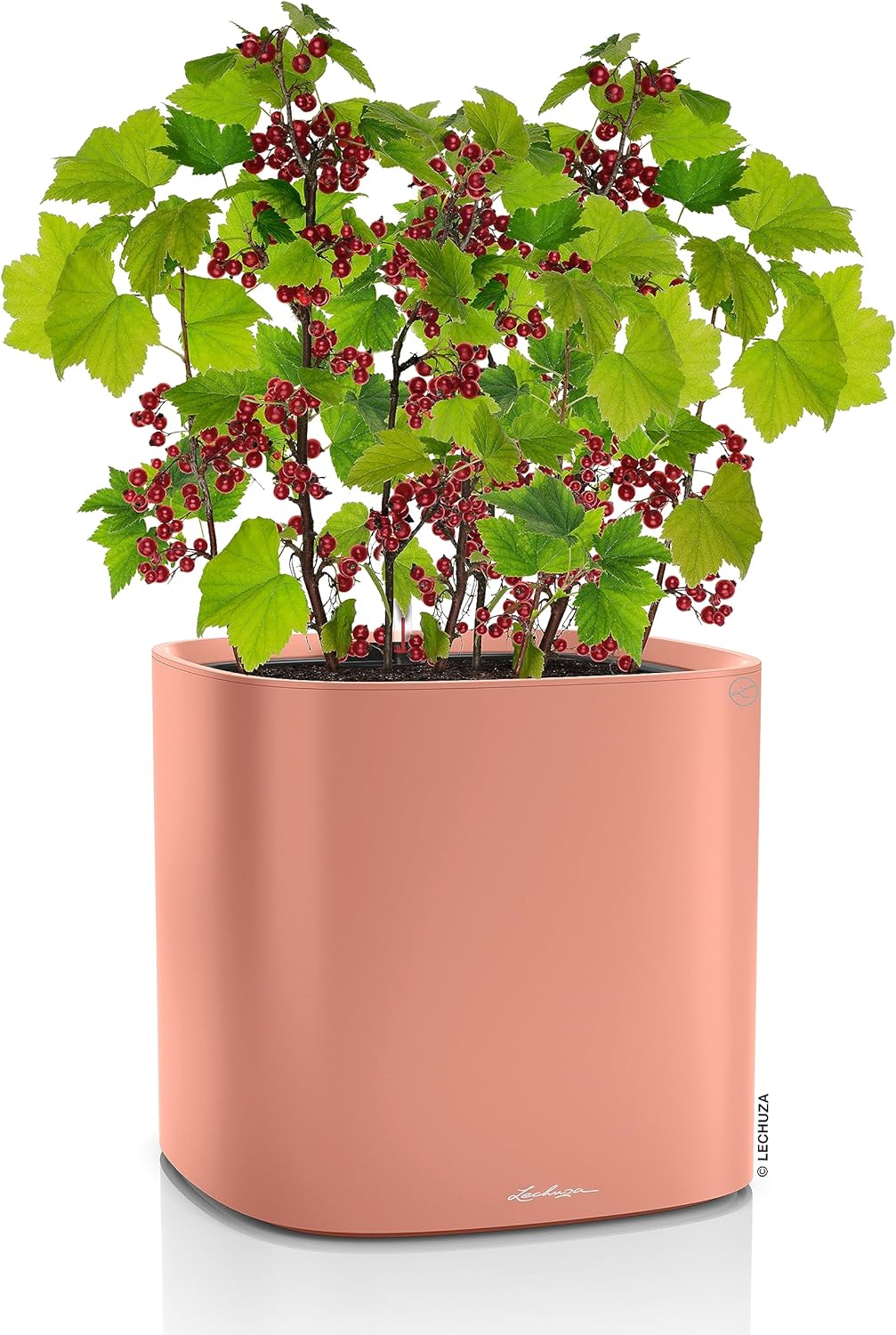 LECHUZA PILA Color Planter korallrot 15908 35x35x33 cm Korallrot, 35x35x33 cm Korallrot
