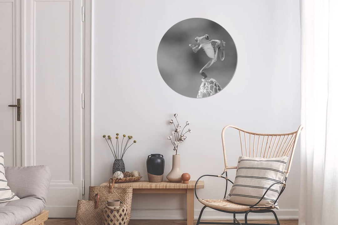 MuchoWow Wandbild Rund Wanddeko Deko Wohnzimmer Bilder 60x60 cm Der rotäugige Laubfrosch in Costa Ri