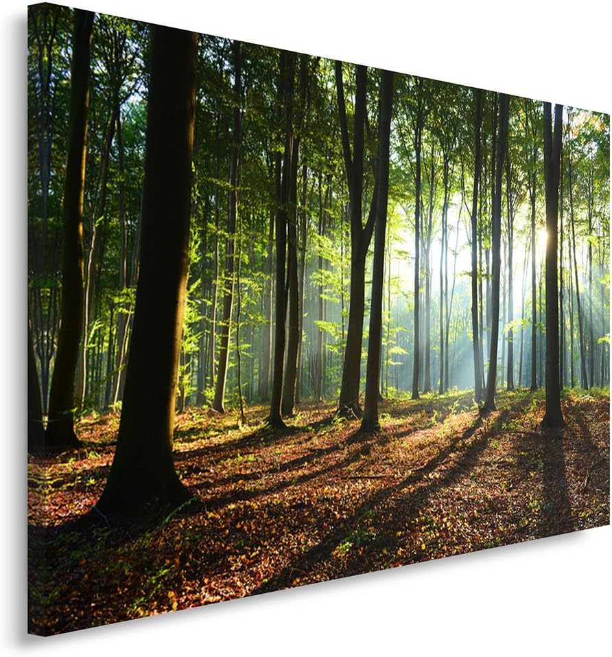 Febby Vlies Leinwandbild XXL Sonnenstrahlen Zwischen Bäumen 100x70 cm Wandbild Kunst Bilder Schlafzi