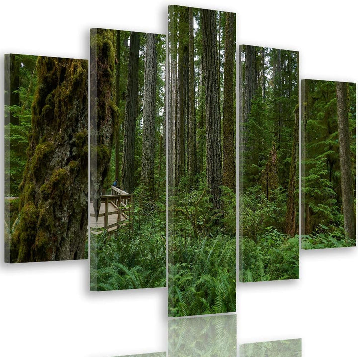 Feeby Wandbild XXL 5 Teilig Natur Leinwandbild Wald Landschaft Bäume grün 300x140 cm Leinwandbild 30