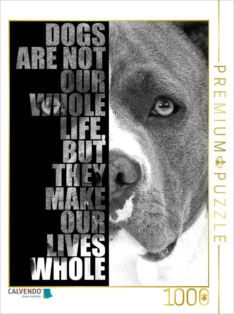 CALVENDO Puzzle American Staffordshire Terrier 1000 Teile Lege-Grösse 48 x 64 cm Foto-Puzzle Bild vo