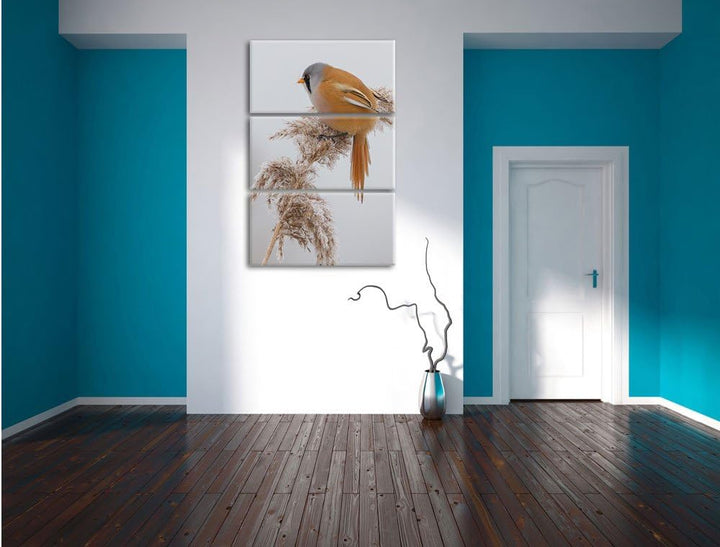 Pixxprint Vogel auf Weizen im Winter als Leinwandbild/Grösse: 3 Teilig (120x80) cm/Wandbild/Kunstdru