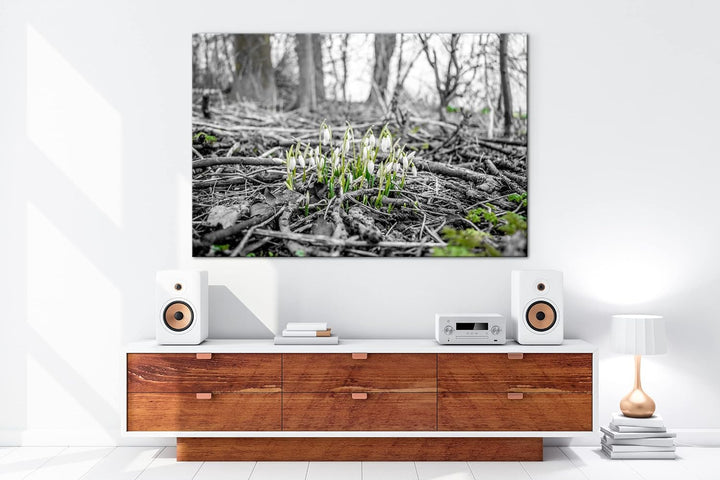 deyoli Der Frühling kommt - wachsende Schneeglöckchen Format: 80x60 als Leinwand, Motiv fertig gerah