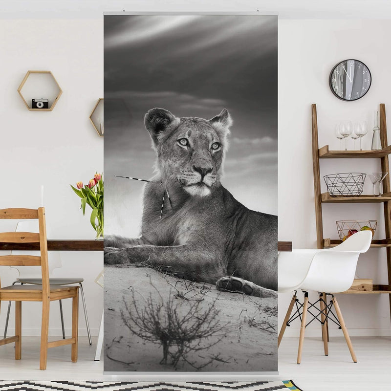 Bilderwelten Raumteiler Resting Lion 250x120cm inkl. transparenter Halterung 250x120cm incl. transpa