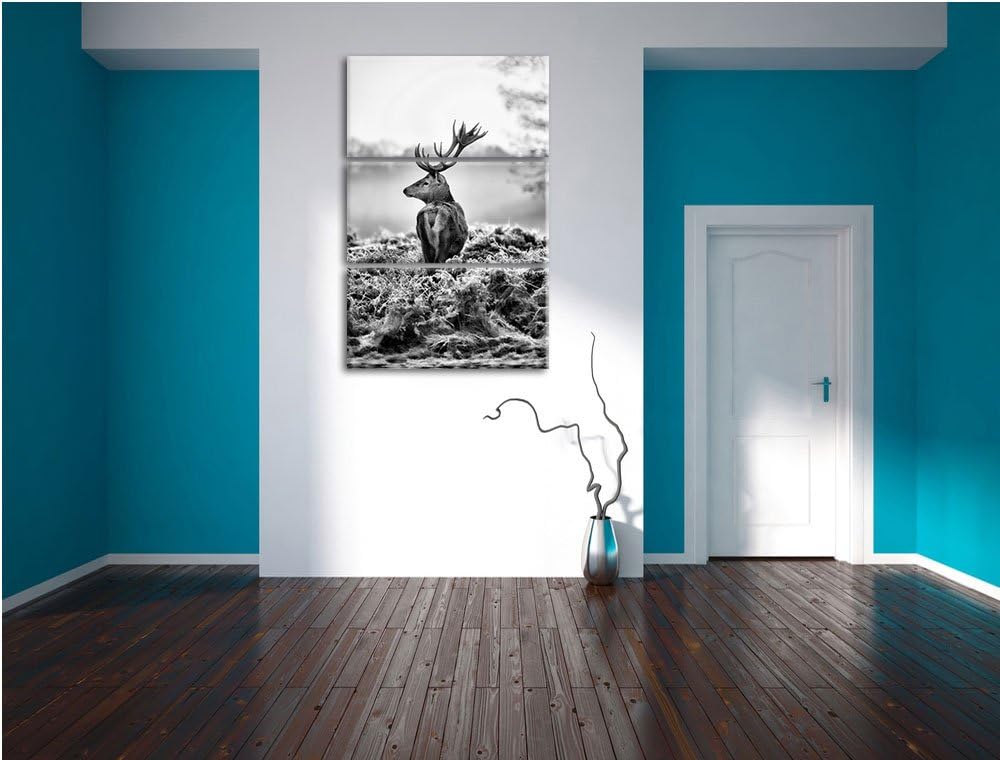 Pixxprint Monocrome, Stolzer Hirsch 3-Teiler Leinwandbild 120x80 Bild auf Leinwand