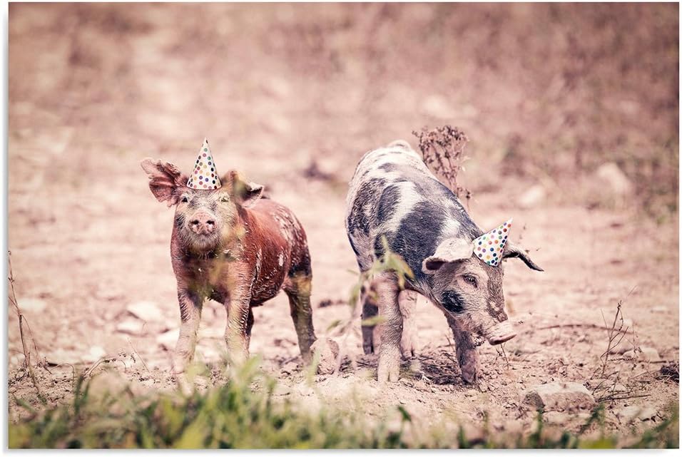 Feeby Bilder Schweine Schwein 70x50 cm Wohnzimmer Schlafzimmer Büro Flur Küche Wandbilder Modern Bil