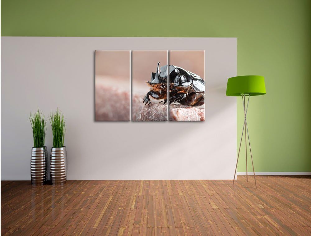 Pixxprint Nashornkäfer Porträt / 3-Teilig/Gesamtmass 120cm Leinwandbild bespannt auf Holzrahmen/Wand