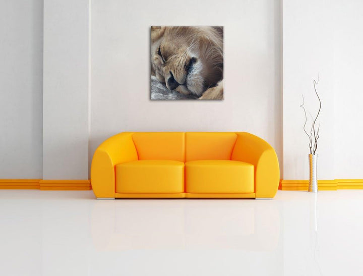 schlafender Löwe, Format: 70x70 auf Leinwand, XXL riesige Bilder fertig gerahmt mit Keilrahmen, Kuns