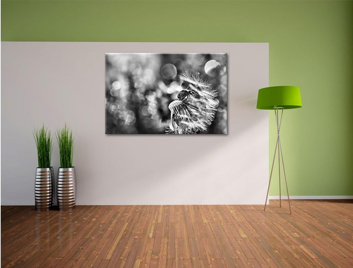 Pixxprint Marienkäfer auf Pusteblume als Leinwandbild/Grösse: 100x70 cm/Wandbild/Kunstdruck/fertig b