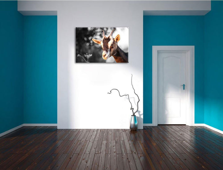 süsse Ziege schwarz/weiss Format: 100x70 auf Leinwand, XXL riesige Bilder fertig gerahmt mit Keilrah