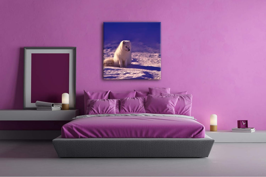 deyoli Arktischer Polarfuchs Format: 70x70 als Leinwand, Motiv fertig gerahmt auf Echtholzrahmen, Ho