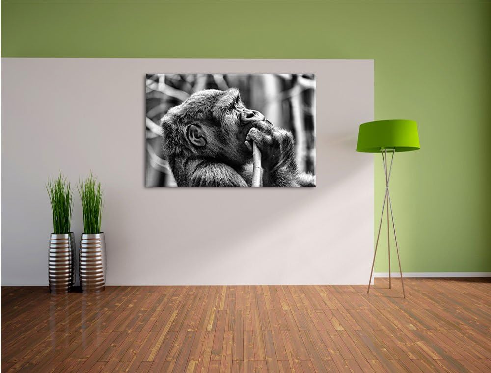 Monocrome, Gorilla isst, Format: 100x70 auf Leinwand, XXL riesige Bilder fertig gerahmt mit Keilrahm