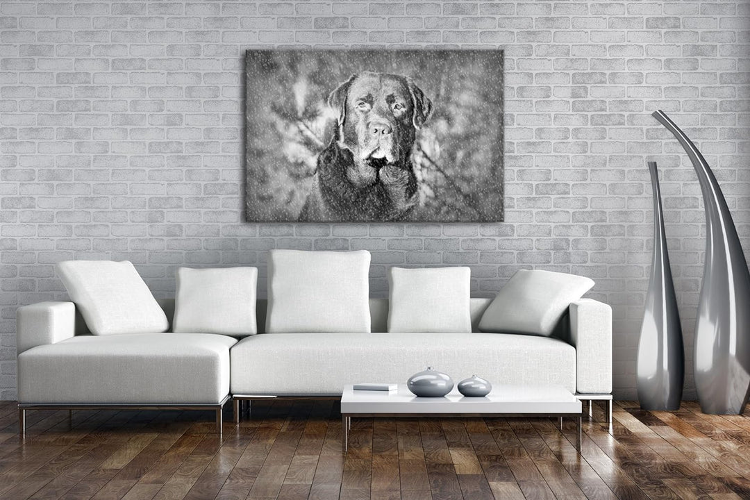 deyoli Hund im Schnee Effekt: Schwarz/Weiss Format: 80x60 als Leinwand, Motiv fertig gerahmt auf Ech