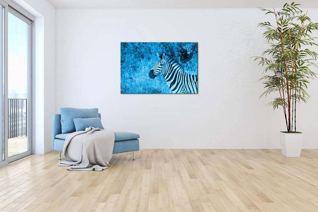 deyoli edles Zebra Format: 100x70 Effekt: Monocrome Blau als Leinwand, Motiv fertig gerahmt auf Echt