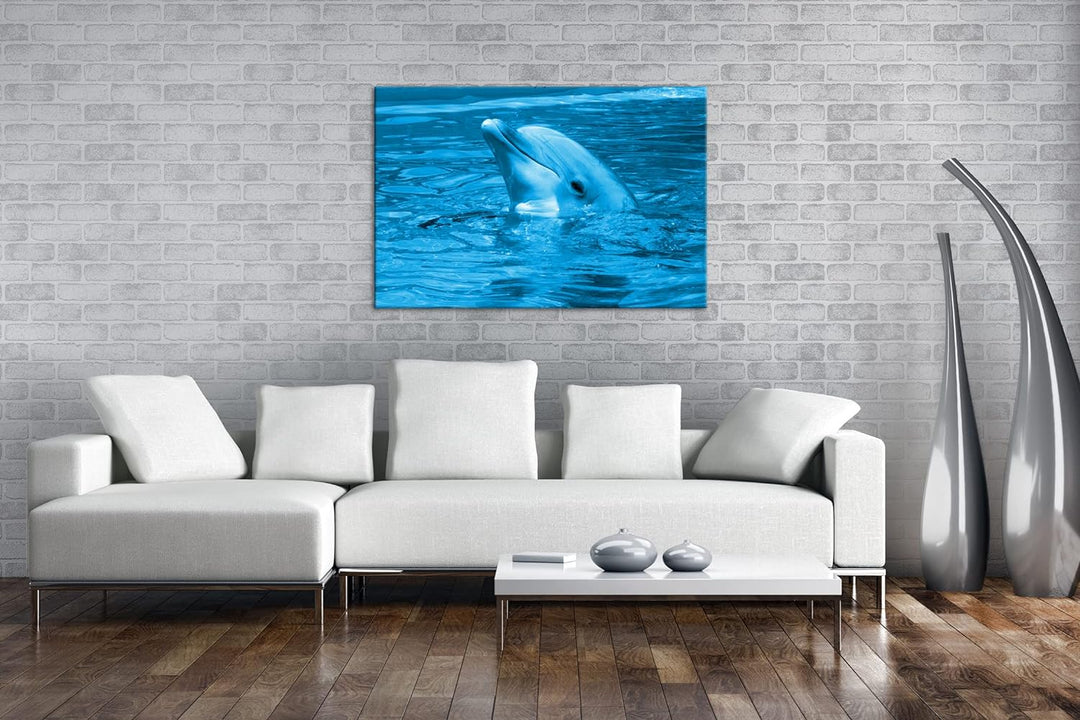 deyoli freundlicher Delphin im Aquarium Format 80x60 Effekt: Monocrome Blau als Leinwandbild, Motiv