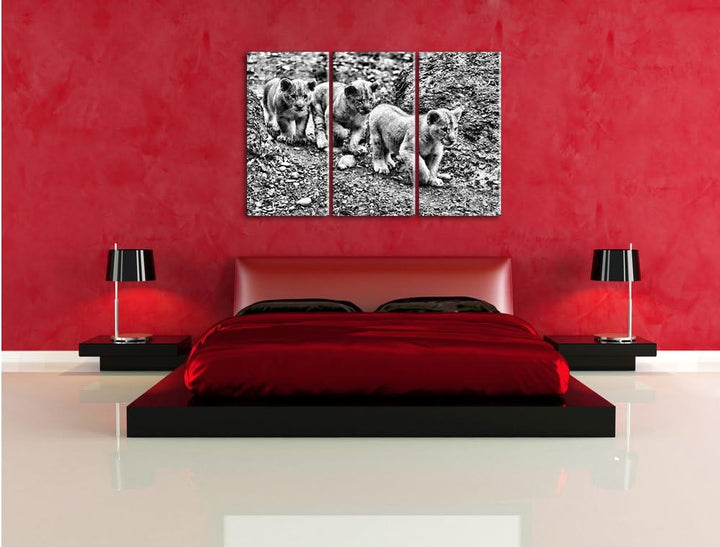 Pixxprint niedliche Löwenjungtiere als Leinwandbild/Grösse: 3 Teilig (120x80) cm/Wandbild/Kunstdruck