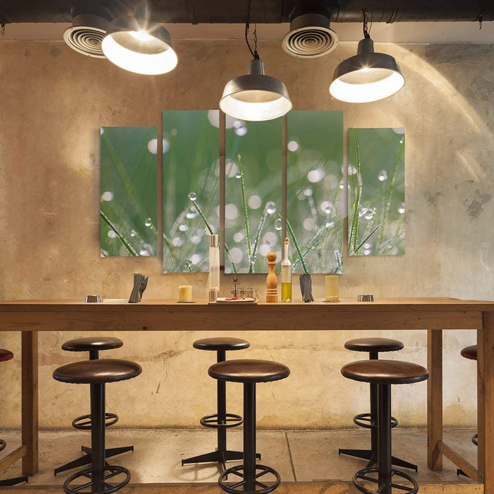 Feeby Frames, Leinwandbild Bilder Wand Bild - 5 Teile - Wandbilder Kunstdruck (TAUTROPFEN GRAS, GRÜN