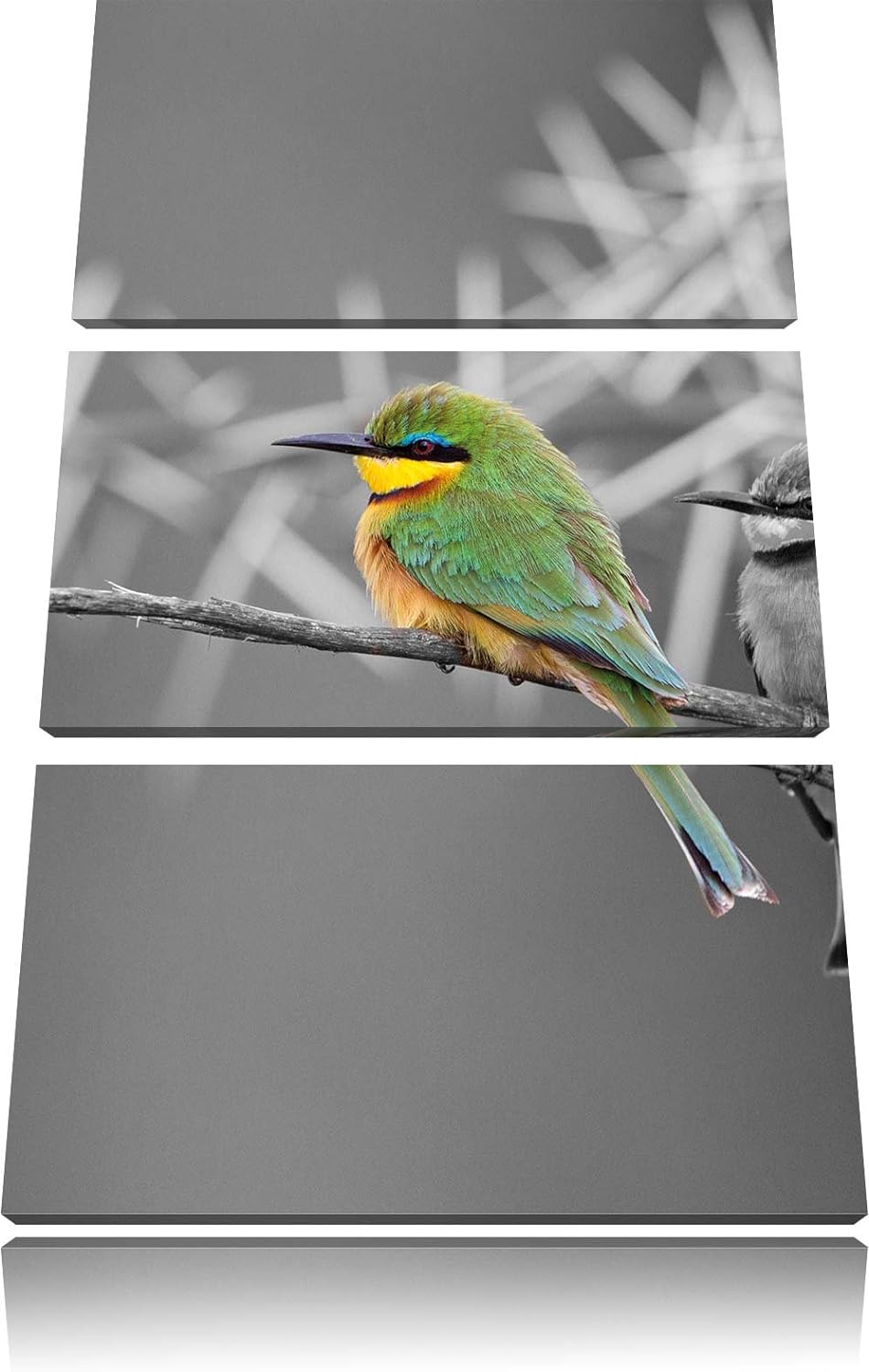 Pixxprint exotische Vögel auf AST als Leinwandbild/Grösse: 3 Teilig (120x80) cm/Wandbild/Kunstdruck/