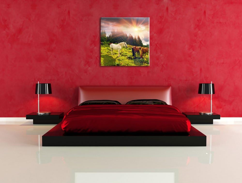Pixxprint Carpathian Mustangs Pferde auf den Bergen, Format: 70x70 auf Leinwand, 70x70