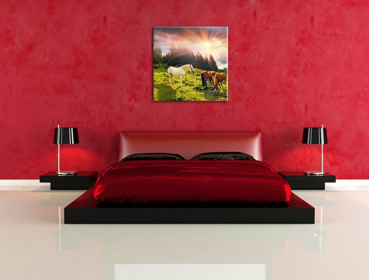 Pixxprint Carpathian Mustangs Pferde auf den Bergen, Format: 70x70 auf Leinwand, 70x70
