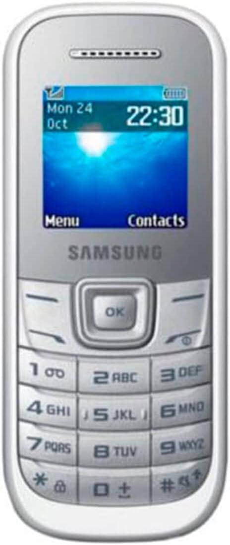 Samsung Keystone 2 Dual SIM GT-E1207Y Weiss SIM Free