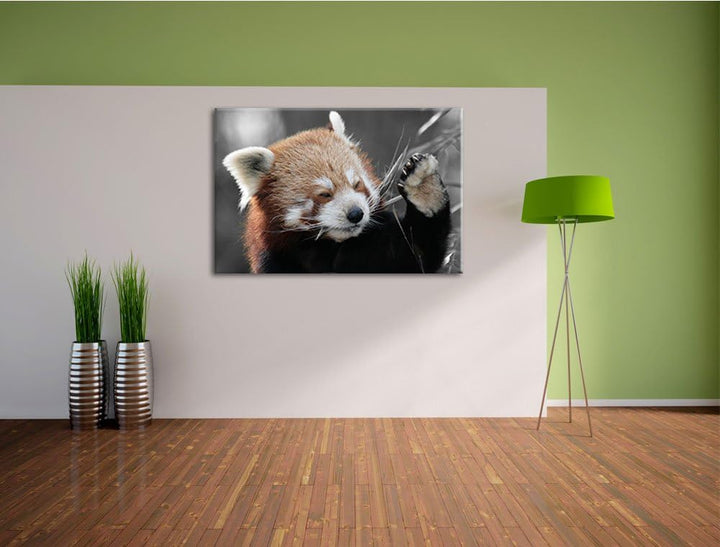 süsser Panda sagt Hallo schwarz/weiss Format: 100x70 auf Leinwand, XXL riesige Bilder fertig gerahmt
