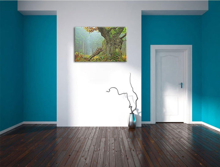 Dicker Baum im Wald im Moos Deluxe Format: 100x70 cm auf Leinwand, XXL riesige Bilder fertig gerahmt