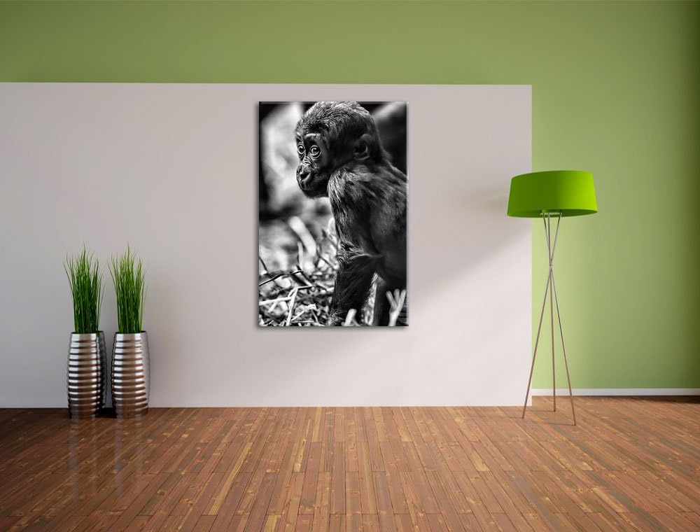 Pixxprint kleines Gorillajunges / 100x70cm Leinwandbild bespannt auf Holzrahmen/Wandbild Kunstdruck