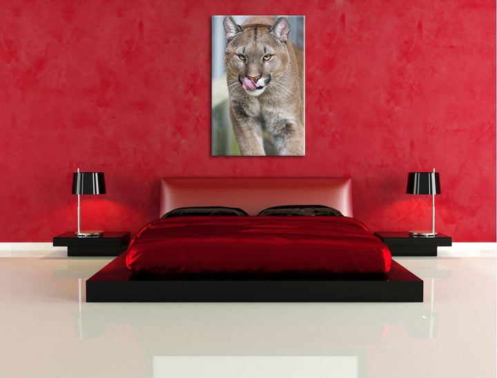 Pixxprint anmutiger Puma auf Leinwand, XXL riesige Bilder fertig gerahmt mit Keilrahmen, Kunstdruck