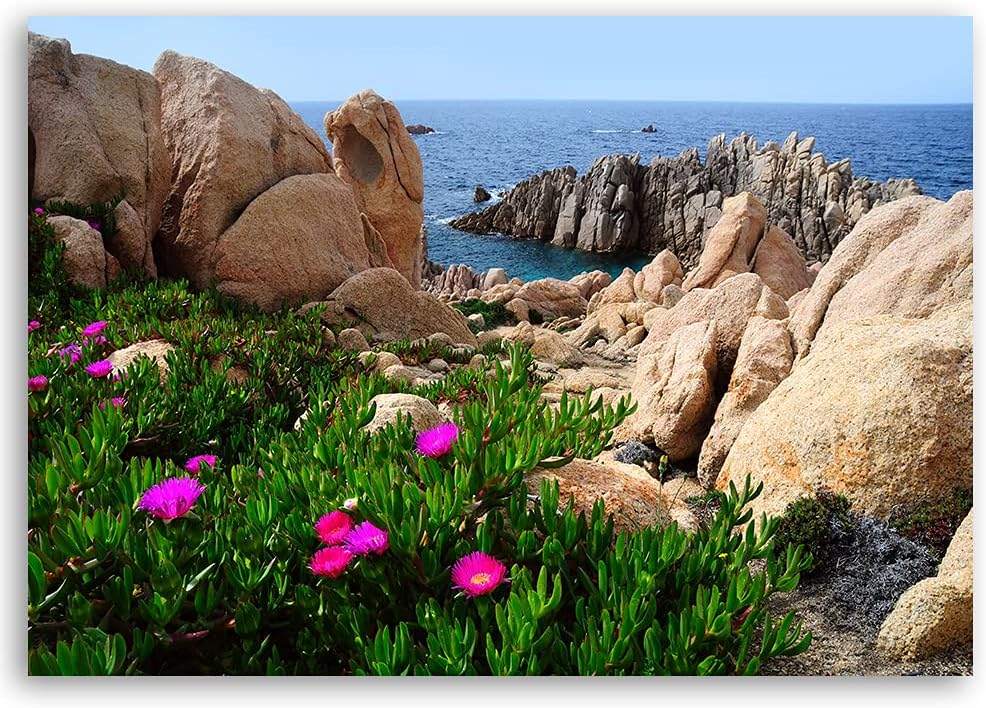 Feeby Bild auf Vlies Leinwand Himmel Natur Meer 100x70 cm Kunstdruck Modern Wandbilder Deko Flur Woh