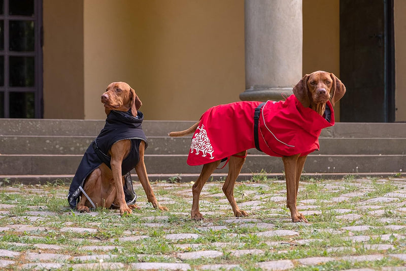 iEnergy™ LUN Hunderegenmantel Hunde Regenjacke windabweisender, ultraleichter und reflektierender Hu