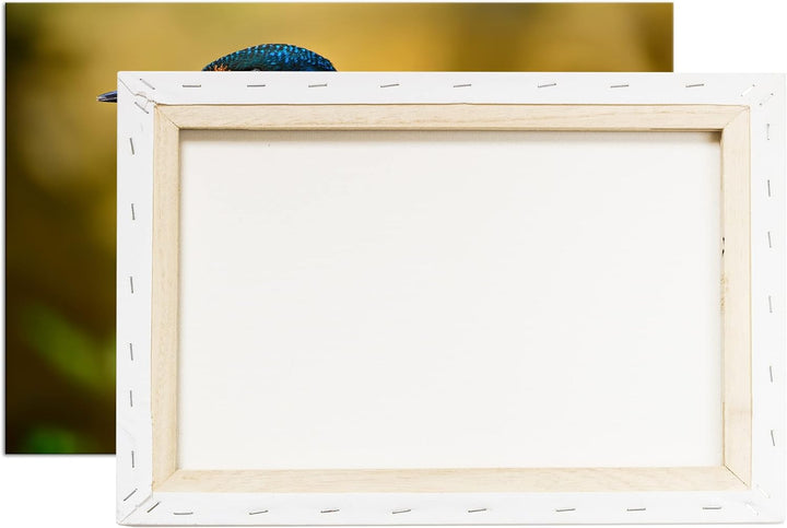 deyoli Eleganter Eisvogel mit blauem Gefieder Format: 80x60 als Leinwand, Motiv fertig gerahmt auf E