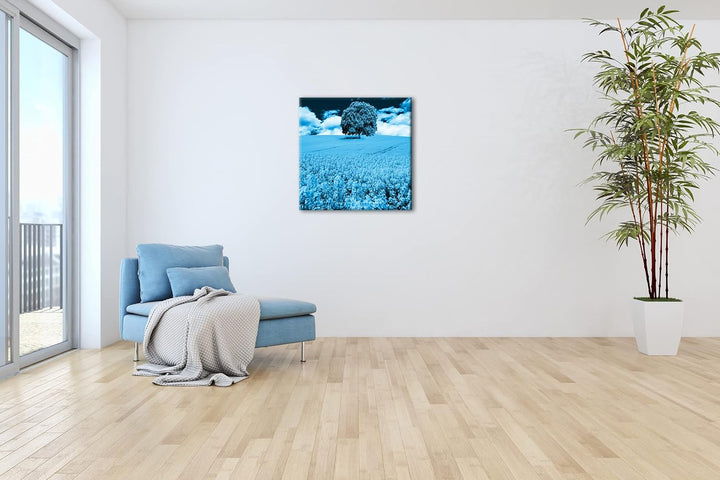 deyoli einzelner Baum im Rapsfeld Format: 60x60 Effekt: Monocrome Blau als Leinwandbild, Motiv ferti