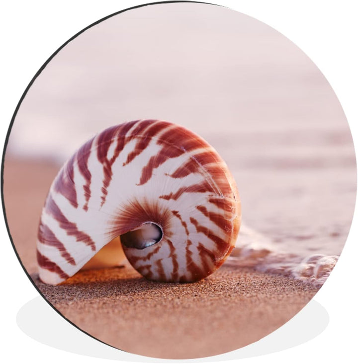 Wandbild Rund Wanddeko Deko Wohnzimmer Bilder 90x90 cm Muschel - Strand - Meer - Sand