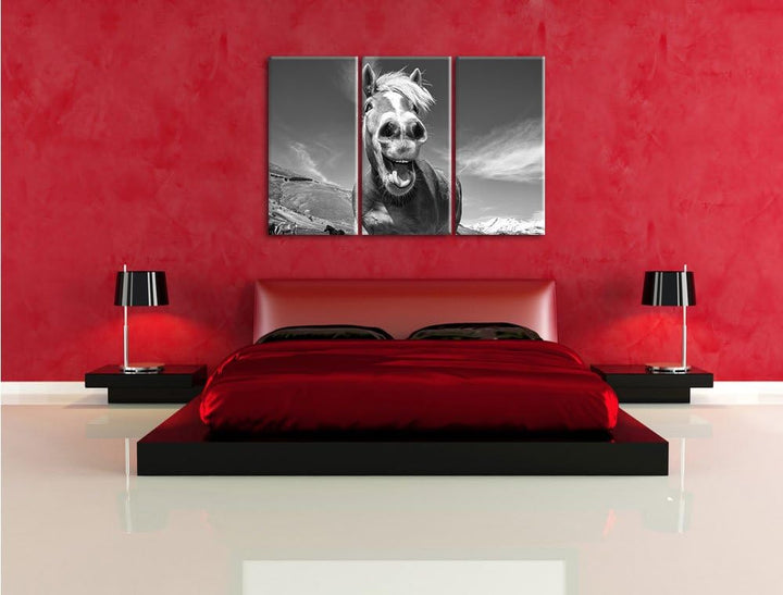 Pixxprint Pferd in der Natur als Leinwandbild | Grösse: 3 Teilig (120x80) | Wandbild| Kunstdruck | f