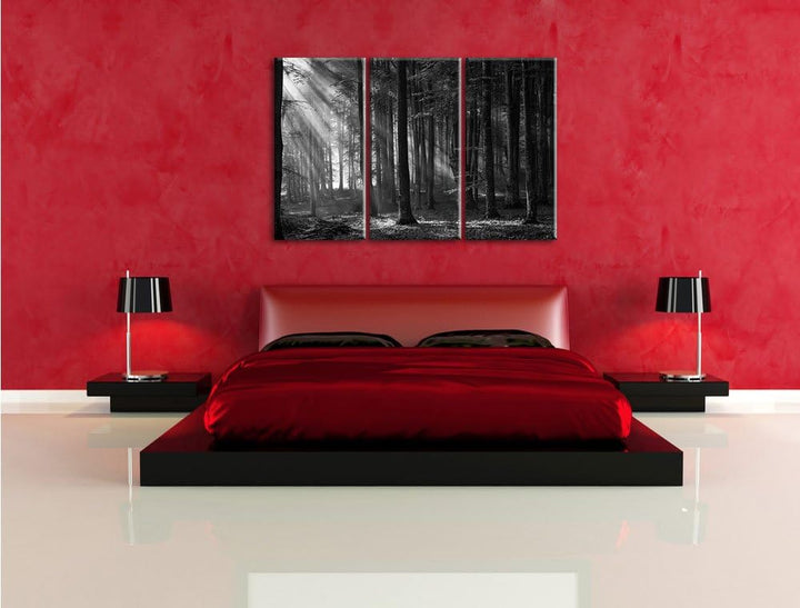 Pixxprint Märchenwald / 3-Teilig/Gesamtmass 120cm Leinwandbild bespannt auf Holzrahmen/Wandbild Kuns