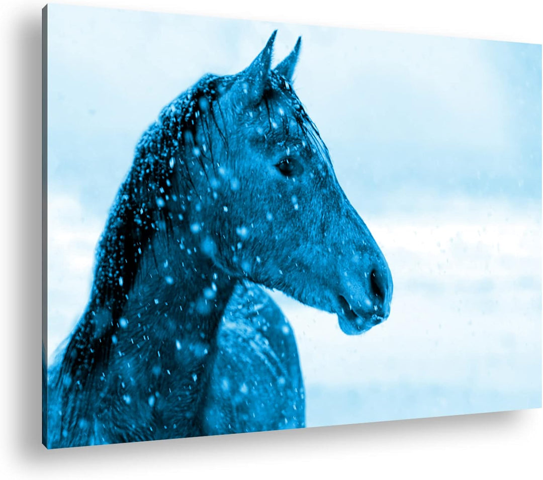 deyoli elegantes Pferdportät im Winter Format 80x60 Effekt: Monocrome Blau als Leinwandbild, Motiv f