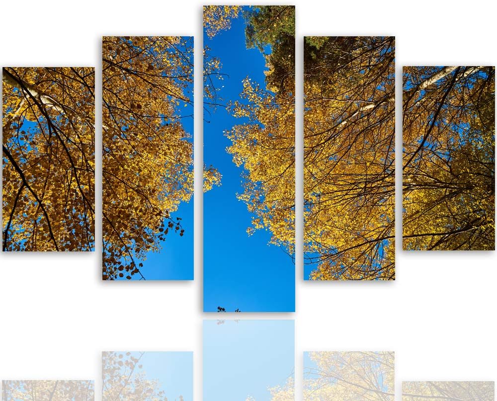 Feeby Leinwandbild 5 Teilig Bäume Bild Wanddeko Blätter Natur Himmel blau gelb 200x100 cm Leinwandbi