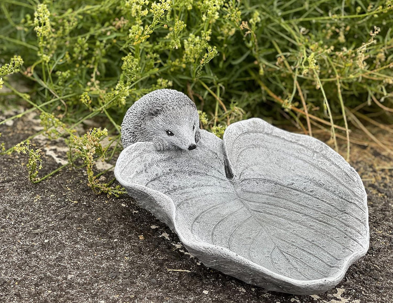 Stone and Style Vogeltränke Insektentränke Igel auf Blatt Steinguss frostfest