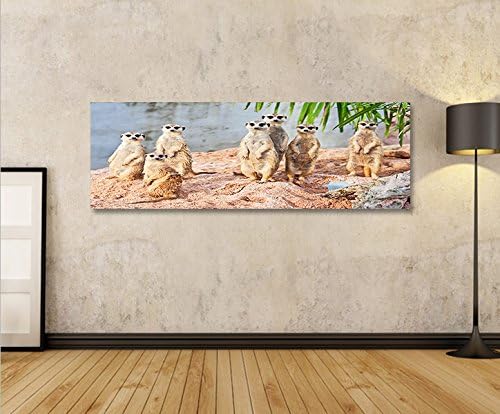 islandburner Bild Bilder auf Leinwand Erdmaennchen Panorama XXL Poster Leinwandbild Wandbild art up